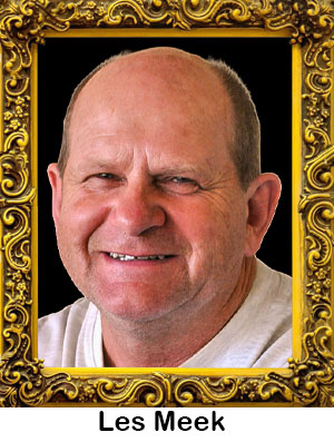 Les Meek